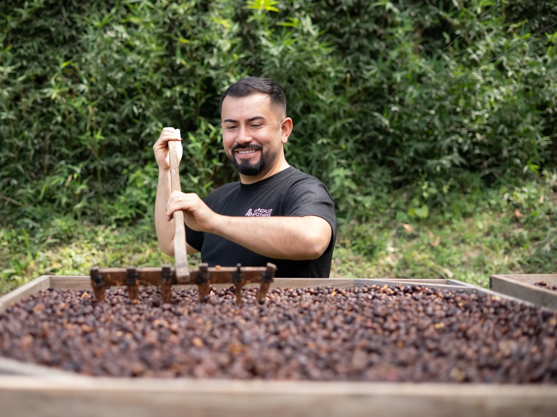 A Gonzalez brother turning coffee on the drying beds at origin