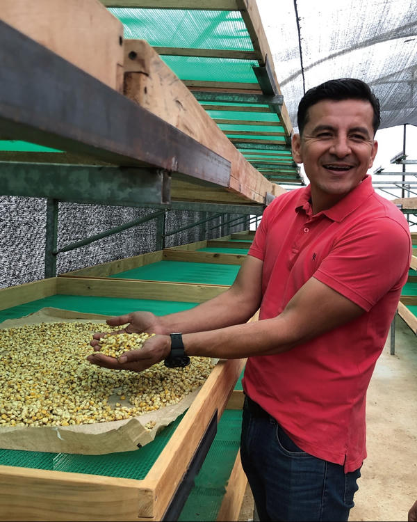 El Alisal coffee farm