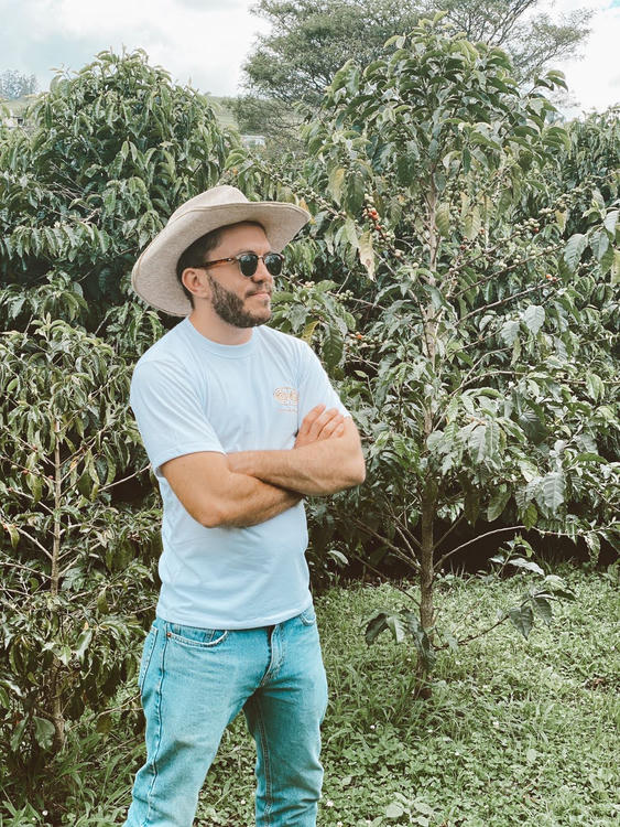 El Aguacate coffee farm