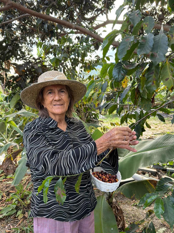 El Carmen coffee farm